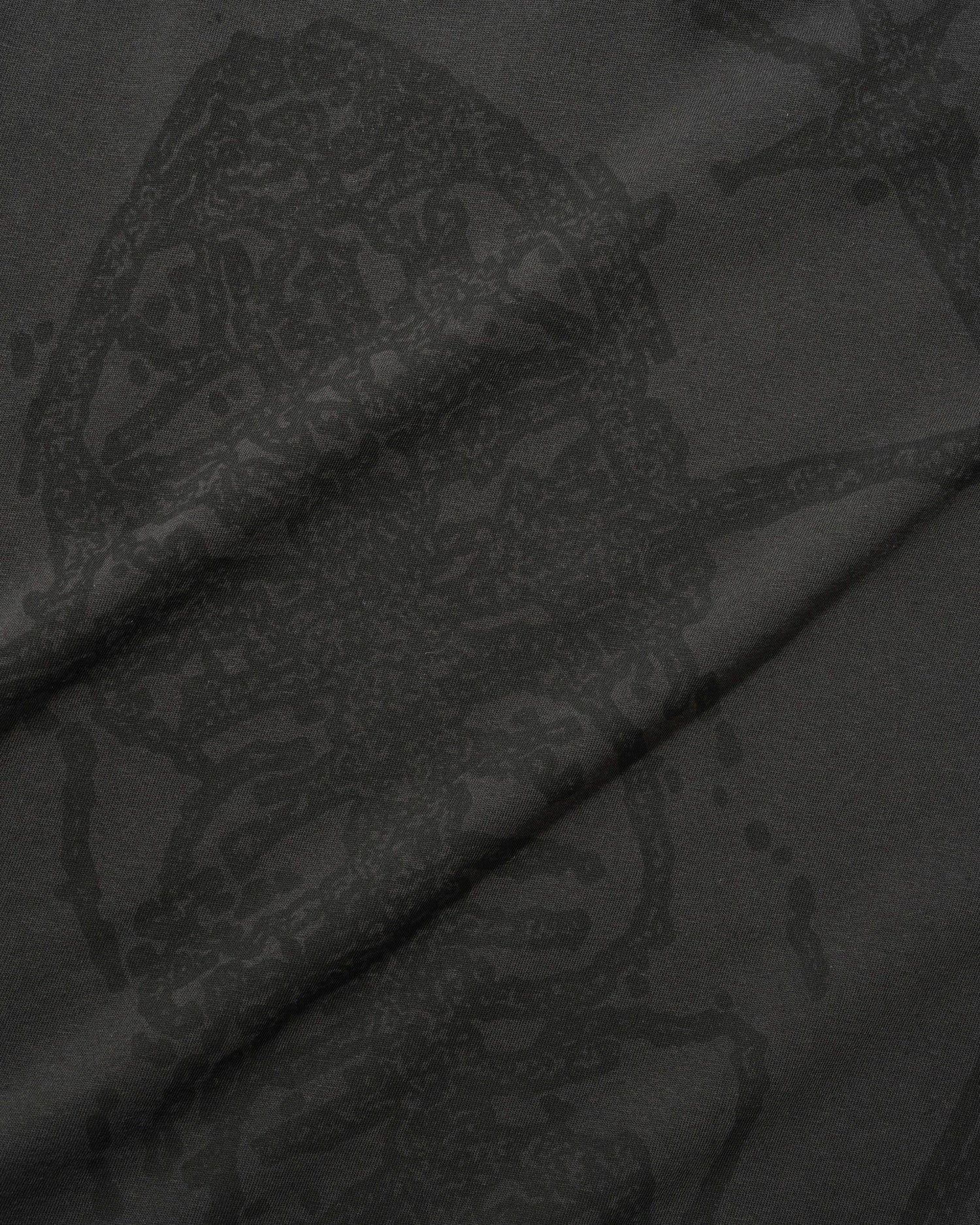 Amphibian Tee, Washed Black