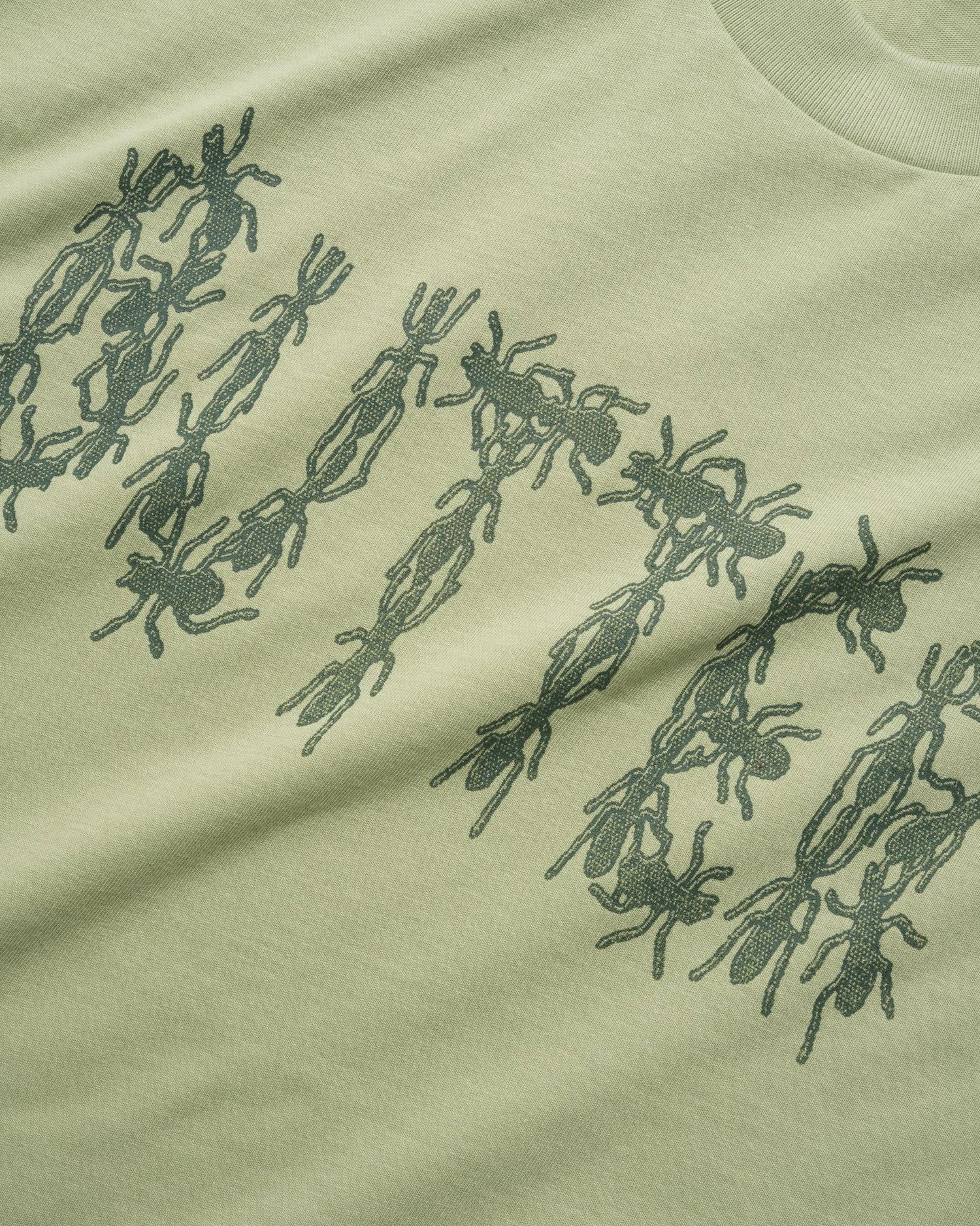 Ants Tee, Matcha